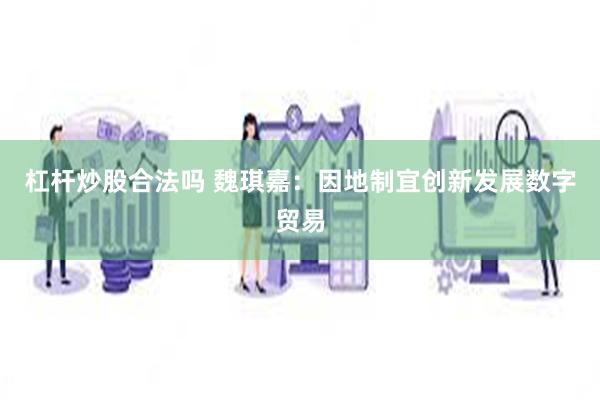 杠杆炒股合法吗 魏琪嘉：因地制宜创新发展数字贸易