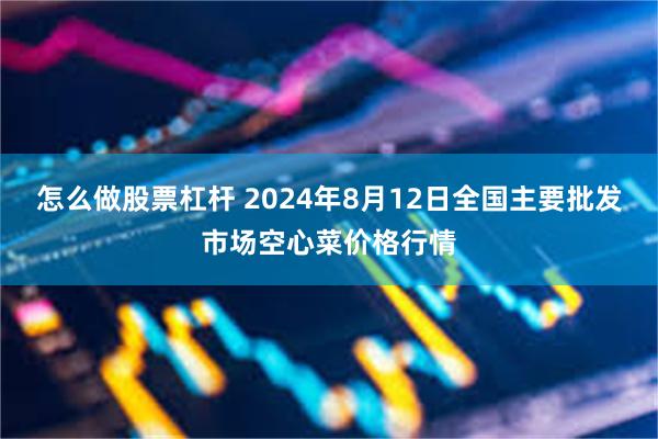 怎么做股票杠杆 2024年8月12日全国主要批发市场空心菜价格行情