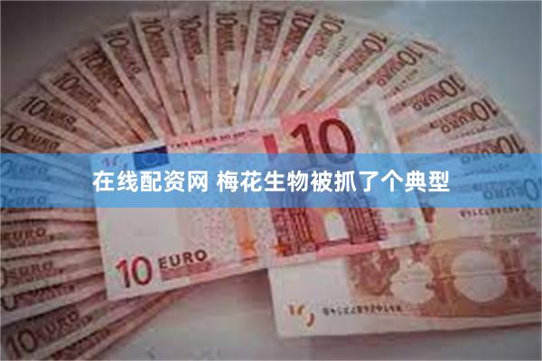 在线配资网 梅花生物被抓了个典型