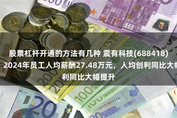 股票杠杆开通的方法有几种 震有科技(688418)年报：2024年员工人均薪酬27.48万元，人均创利同比大幅提升