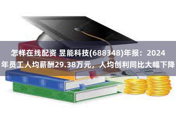怎样在线配资 昱能科技(688348)年报：2024年员工人均薪酬29.38万元，人均创利同比大幅下降
