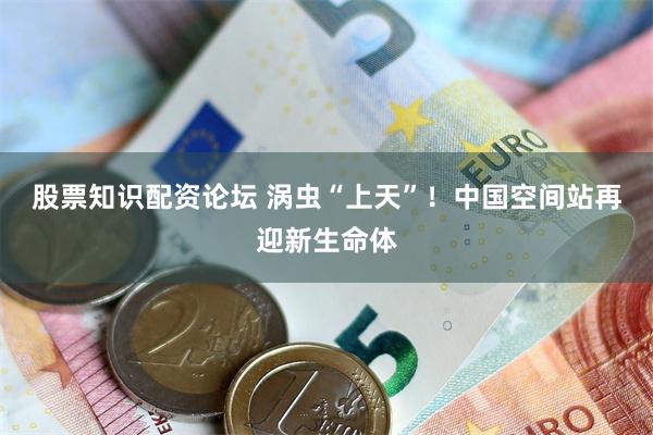 股票知识配资论坛 涡虫“上天”！中国空间站再迎新生命体