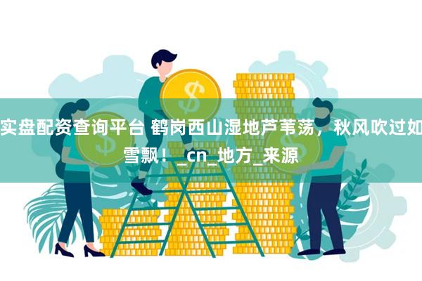 实盘配资查询平台 鹤岗西山湿地芦苇荡，秋风吹过如雪飘！_cn_地方_来源